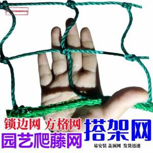 고추 오이 넝쿨망 망사 길이2m 넝쿨 유인줄 망 거치대 고추 망 화초 줄기