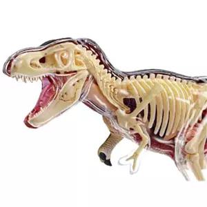공룡 모형 해부 입체 다이노 내부 티라노사우루스 상어 키트