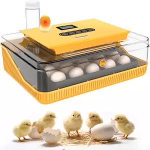 디보펫 25 알 인큐베이터 부화 알을 위한 자동 터너 및 온도 습도 제어 캔들러 메추라기 닭 오리 거위