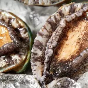 완도 산더미활전복 500g 21-25미