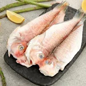 [애월농수산] 산지직송 제주옥돔 380g x 3미