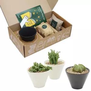 블랙 앤 화이트 도자기화분 다육식물 세트 zlB8+9kNq