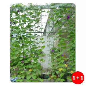 오이 넝쿨 재배 원예 넝쿨망 텃밭 덩굴 식물 지지망 유인 그물망 과수 넝쿨 (2배 배송 1+1)