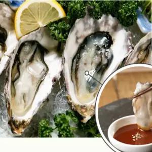 kbhbz 통영 산지직송 당일조업 생굴 1kg 석화 하프셀