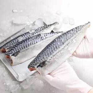 [순천만 수산]노르웨이 고등어 왕특대 170-190g x 10팩 한번얼린 고등어