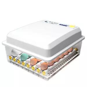 계란 부화기 온도 조절 사육장 조류 닭 알 병아리 자동회전 전자동 가정용 오리 달걀
