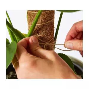 덩굴 식물 수태봉 지지대 화분 식물 고정 원형 수태 기둥 보습 관리