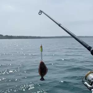 물고기 키링 바다 낚시