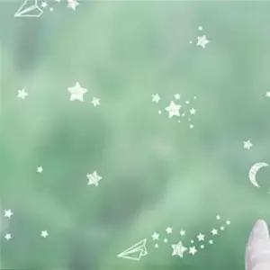 별비행기 1X2m 반투명 유리 창 문 시트 안개 시트지 중문 베란다 필름 사생활보호 자외선 차단