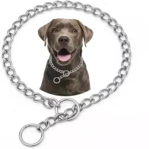 초크 도그 체인 목걸이 스테인리스 스틸 실버 XXS 슬립 링크 트레이닝 헤비 듀티 초커 칼라 마팅게일