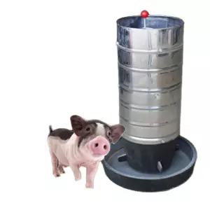 가축 염소 사료통 축사 아기 피더 배식통 송아지 스텐