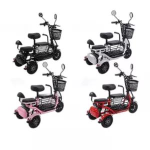 세발 전기자전거 애견 동반 출퇴근 수납 전동스쿠터