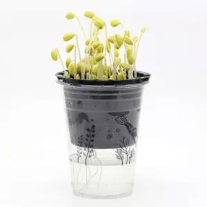 홈가든 콩나물기르기 콩나물키우기 키트/콩나물/재배/가정용/과학/수업/재배기/실험/관찰/체험/학습/교육용