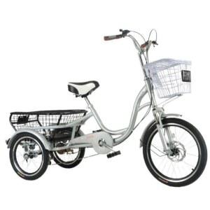 세발자전거 수납 인력거 펫바이크 마실 티타늄 실버(디스크 싸이클 삼발이 단속)