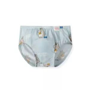 오르시떼 남아동 F230 북웜히포 브리프 OR25ABBRF230