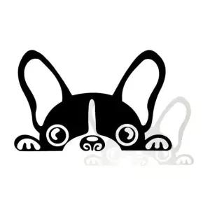 차량용 데칼 스티커 프랜치 불독 Eiu2+3jph