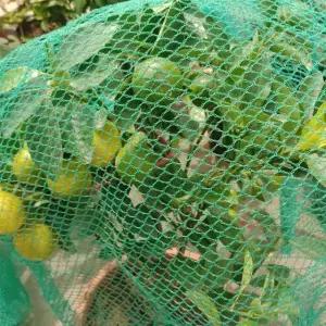 새 그물망 농작물 보호 그물 방조망 4x5m DD-11973