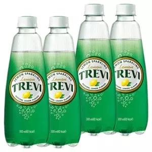 트레비 레몬 300ml x 40PET 20펫x2BOX 탄산음료 플레인 자몽