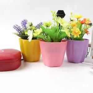 다육이 1P 화분 미니화분 인테리어 플라스틱