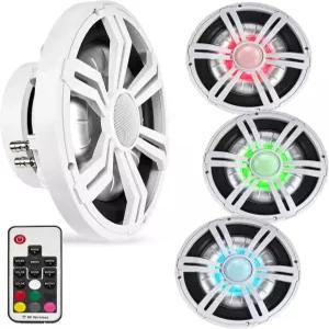 BELVA BMSS10RW 800W 최대 (400W RMS) 10인치 쉘로우 마린 서브우퍼 (보트/ATV/UTV/SxS/파워스포츠용 다색