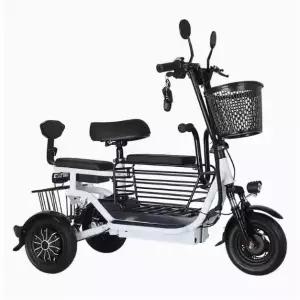 삼륜 자전거 스쿠터 여성 전동 세발 충전식 3인승