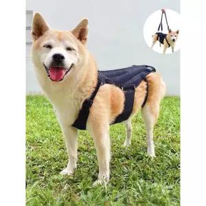 강아지 척추보조기 허리디스크 보호대 보조기구 재활