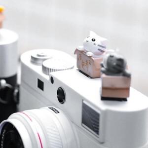 3D 만화 카메라 핫슈 커버 고양이 DSLR 방진 캡 범용 손전등 코브