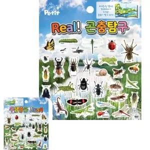 뮤 키트 엄마표미술 집콕 만들기 DA5463 홈스쿨링 아동 REAL곤충탐구