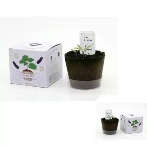 뮤 홈스쿨링 키트 아동 집콕 엄마표미술 팜팜농장 가지 만들기