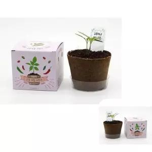 뮤 홈스쿨링 집콕 엄마표미술 아동 팜팜농장 고추 만들기 키트