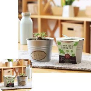 뮤 엄마표미술 그로우캔 집콕 만들기 키트 홈스쿨링 아동 스위트바질