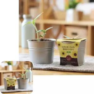 뮤 키트 아동 홈스쿨링 만들기 미니해바라기 그로우캔 엄마표미술 집콕