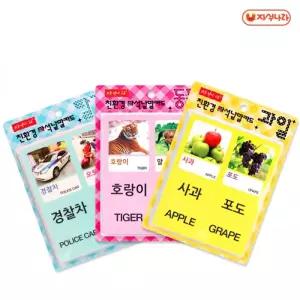 한글영어 자석 낱말카드(택1) 동물 과일/그림/카드/놀이/동물/초등학생/낱말/단어/학습/교구