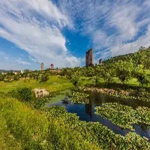 연태 골프 3일 #다색골프 #54홀 #단령/군정CC #용구공상련합호텔 #와인증정 #2인예약 가능 #조조패턴