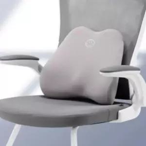 침대등받이쿠션 다용도 사이언스 디비전 허리받침 등받이쿠션