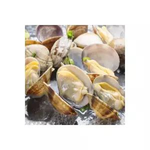 덕이네 해감 조개 왕 백상합 동죽 참바지락 활바지락 왕바지락 1kg 2개 이상 구매 칼국수200G 1개 지급 957