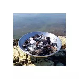 덕이네 홍합 홍합탕 홍합효능 깐홍합 홍합살 생홍합 피홍합 3kg 957902