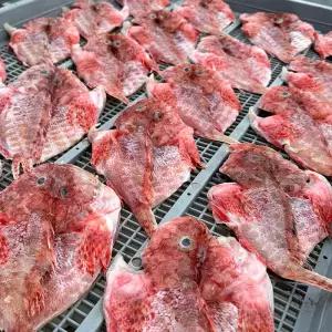 자연산 통영 삼뱅이 300g 2-4미 반건조 삼뱅이 붉은생선 빨간 우럭 매운탕 생선 구이 용 생선 잡어