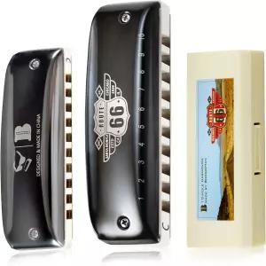 콩셩 재즈 하모니카 초보자 아마추어 및 전문가를 위한 옐로우 케이스가 포함된 10홀 블루스 하프 디아토닉