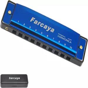 초보자를 위한 파르카야 하모니카 블루스 하프 디아토닉 C 키 10홀 20톤 금속 입 오르간 하드 케이스와