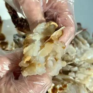 [NS홈쇼핑]100% 국내산 손질 급냉 꽃게 800g x 1팩[35672897]