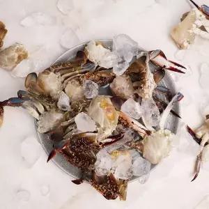 [NS홈쇼핑][오늘신선] 태안 신진도 산지직송 냉동 절단 꽃게 2kg 30-40쪽 내외..[35660924]