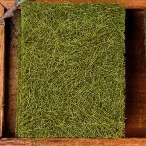 서산 50년 전통 수제 명품 햇 구운감태 구운감태김