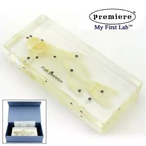 LF-1102 표본 물고기뼈 밀봉형 물고기 과학교구 관찰 놀이 학습