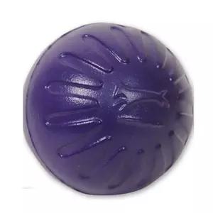 강아지 물놀이 공 M 1개 애견 강아지 토이 완구 놀 dCN9+4ouk