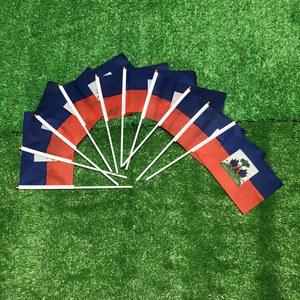 국기봉 플라스틱 기둥이 있는 하늘 깃발 폴리에스터 양면 침투 HT 아이티 손 14x21cm 100