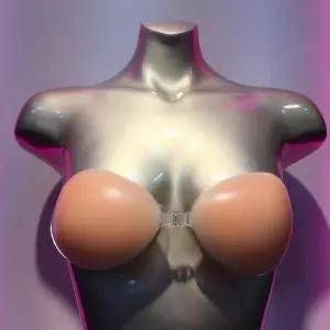 [비너스] 누드브라 누디브라 실리콘브라 웨딩브라 쉘컵_C VAC3900