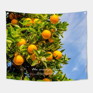 상상후 패브릭포스터, 오렌지트리, 150x130, 1개