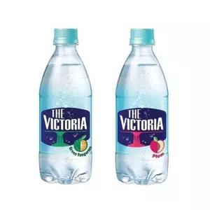 빅토리아 청귤+자두 500ml 20+20