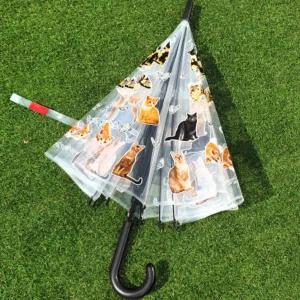 위글위글 비닐 장우산 투명 고양이 학생 생일 선물